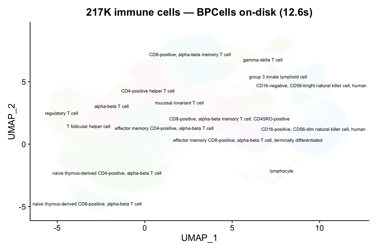 217K cells — BPCells on-disk